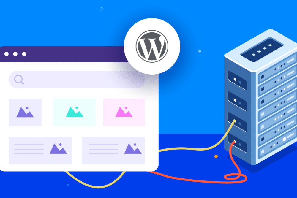 WordPress Hazır Site 2 WordPress Hazır Site