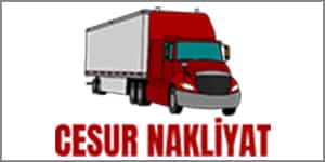 cesur