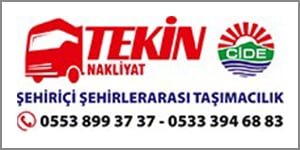 tekinler